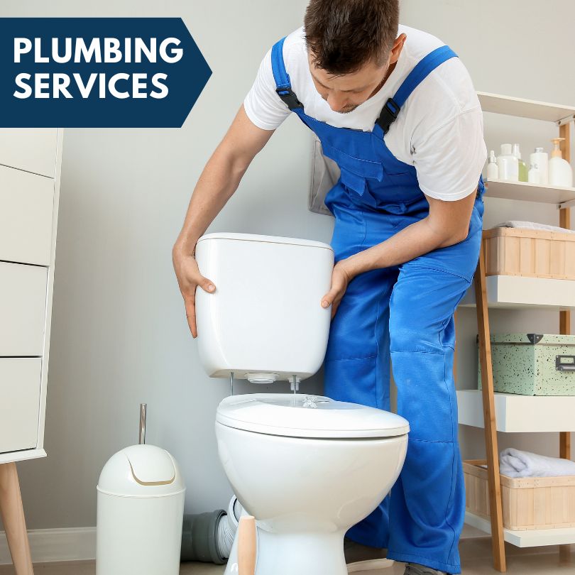 Plumbing Company in Livingston, IL